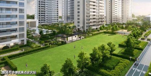 宁波绿城小区最新爆料,揭秘神秘事件背后的真相 第1张 宁波绿城小区最新爆料,揭秘神秘事件背后的真相 第1张